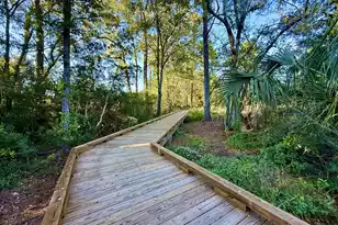 132 Low Tide Ct, Charleston, SC 29492 - Photo 54
