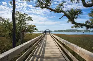132 Low Tide Ct, Charleston, SC 29492 - Photo 48