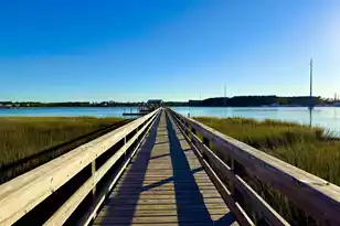 132 Low Tide Ct, Charleston, SC 29492 - Photo 62
