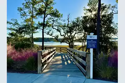 132 Low Tide Court, Wando, SC 29492 - Photo 46
