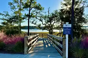 132 Low Tide Ct, Wando, SC 29492 - Photo 46