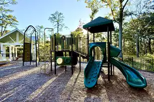 132 Low Tide Ct, Charleston, SC 29492 - Photo 58