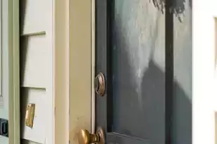 6 Catfiddle St, Charleston, SC 29403 - Photo 50