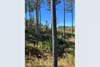 Drf 5 Dawkins Road #Drf 5, Pacolet, SC 29372 - Photo 46