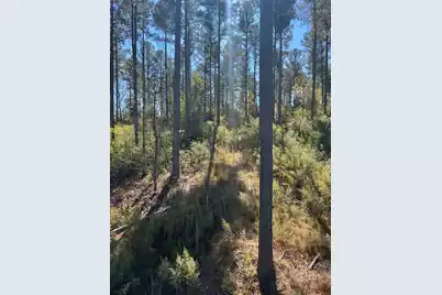 Drf 5 Dawkins Road #Drf 5, Pacolet, SC 29372 - Photo 44