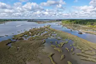 206 Marsh Pointe Dr, Sheldon, SC 29941 - Photo 38