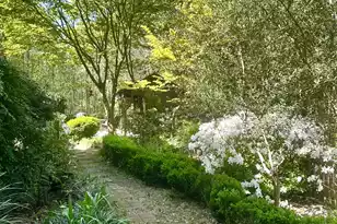 1109 Lazy Ln Ct, Mount Pleasant, SC 29464 - Photo 6