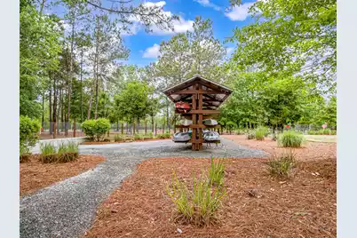 226 Garden Lily Lane, Summerville, SC 29485 - Photo 54