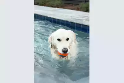 1015 Casseque Province, Mount Pleasant, SC 29464 - Photo 58