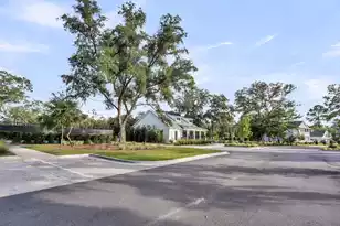 5030 Lady Bird Aly, Johns Island, SC 29455 - Photo 60