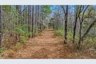 0 Willow Brook Way, Cordesville, SC 29434 - Photo 10