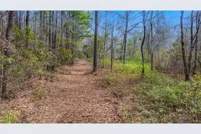 0 Willow Brook Way, Cordesville, SC 29434 - Photo 8