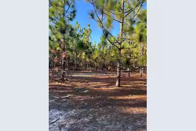 Ppf 14 Payne Pond Road #Ppf 14, Westville, SC 29175 - Photo 26