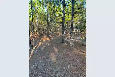 Ppf 14 Payne Pond Road #Ppf 14, Westville, SC 29175 - Photo 24