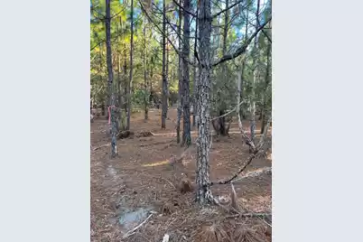 Ppf 14 Payne Pond Road #Ppf 14, Westville, SC 29175 - Photo 18