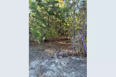 Ppf 14 Payne Pond Road #Ppf 14, Westville, SC 29175 - Photo 6