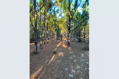 Ppf 14 Payne Pond Road #Ppf 14, Westville, SC 29175 - Photo 10