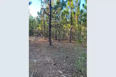 Ppf 14 Payne Pond Road #Ppf 14, Westville, SC 29175 - Photo 8