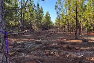 Ppf 14 Payne Pond Road #Ppf 14, Westville, SC 29175 - Photo 1