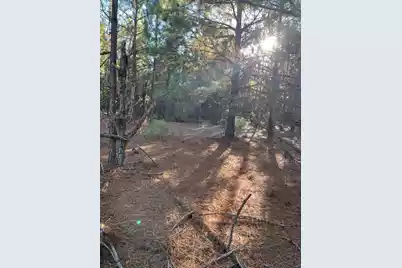 Ppf 14 Payne Pond Road #Ppf 14, Westville, SC 29175 - Photo 16