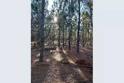 Ppf 14 Payne Pond Road #Ppf 14, Westville, SC 29175 - Photo 22