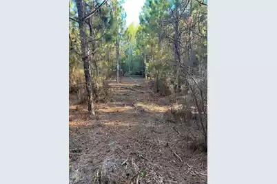 Ppf 17 Payne Pond Road #Ppf 17, Westville, SC 29175 - Photo 14