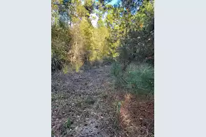 Ppf 17 Payne Pond Road #Ppf 17, Westville, SC 29175 - Photo 18