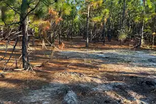 Ppf 17 Payne Pond Road #Ppf 17, Westville, SC 29175 - Photo 1