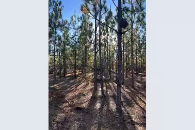 Ppf 17 Payne Pond Road #Ppf 17, Westville, SC 29175 - Photo 6