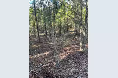 Ppf 18 Payne Pond Road #Ppf 18, Westville, SC 29175 - Photo 10