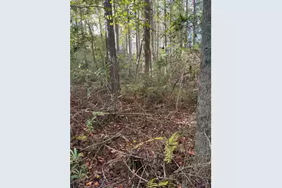 Ppf 18 Payne Pond Road #Ppf 18, Westville, SC 29175 - Photo 2