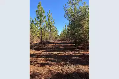 Ppf 18 Payne Pond Road #Ppf 18, Westville, SC 29175 - Photo 16