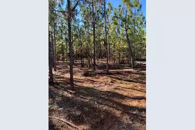 Ppf 18 Payne Pond Road #Ppf 18, Westville, SC 29175 - Photo 18