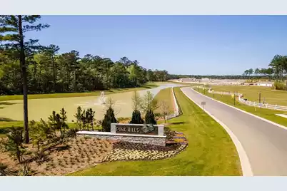 902 Long Bluff Road, Summerville, SC 29486 - Photo 8