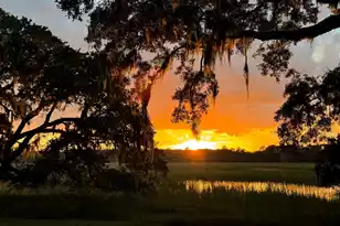 3398 Freeman Hill Rd, Johns Island, SC 29455 - Photo 12