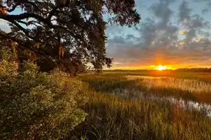 3398 Freeman Hill Rd, Johns Island, SC 29455 - Photo 14