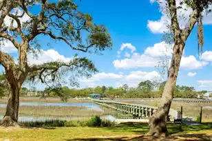 3398 Freeman Hill Rd, Johns Island, SC 29455 - Photo 2