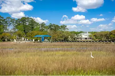 3398 Freeman Hill Road, Johns Island, SC 29455 - Photo 2