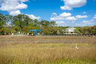 3398 Freeman Hill Rd, Johns Island, SC 29455 - Photo 2