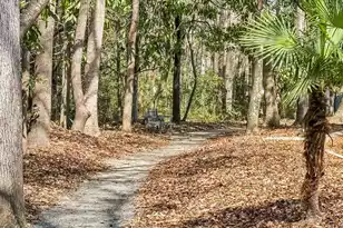 1025 Riverland Woods Pl #Apt 801, Charleston, SC 29412 - Photo 26