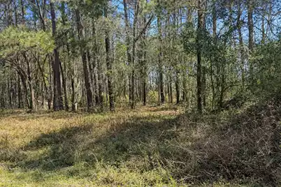 4131 Betsy Kerrison Parkway, Johns Island, SC 29455 - Photo 6