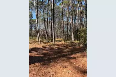 4131 Betsy Kerrison Parkway, Johns Island, SC 29455 - Photo 4