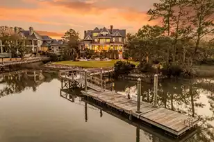 370 Ralston Creek St, Daniel Island, SC 29492 - Photo 62