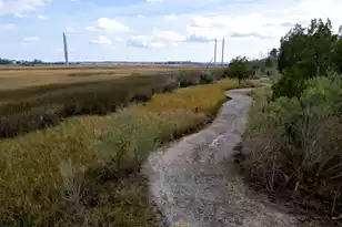 1648 John Fenwick Ln, Johns Island, SC 29455 - Photo 62