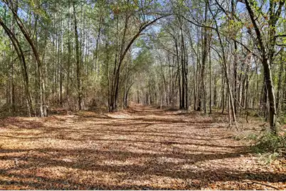 1223 Benton Road, Summerton, SC 29148 - Photo 44