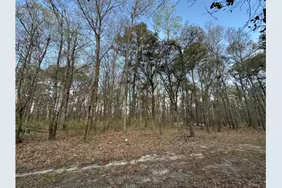 0 Cooke Road #Lot 1, Johns Island, SC 29455 - Photo 6