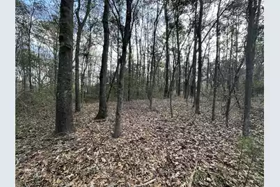 0 Cooke Road #Lot 1, Johns Island, SC 29455 - Photo 4