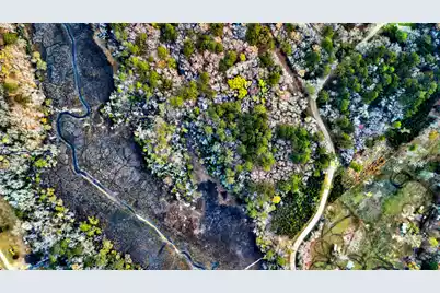 0 Cooke Road #Lot 3, Johns Island, SC 29455 - Photo 4
