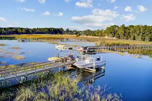 2380 Darts Cove Way, Mount Pleasant, SC 29466 - Photo 4