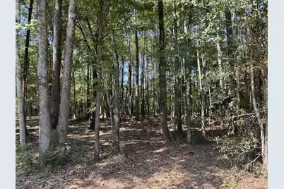 0 Fish Road #4 & 5, Ridgeville, SC 29472 - Photo 6